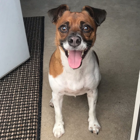 Meet your Posher, Stephanie - Picture 5 of 5